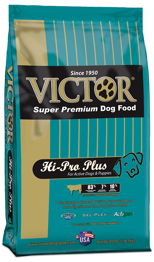 victor pro plus puppy