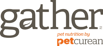 Gather Reviews Recalls Information Pet Food Reviewer