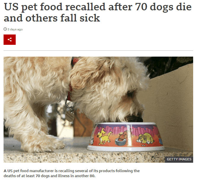 what are bad dog food brands