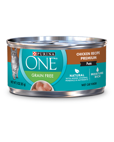 Purina Cat Food Reviews: Top Picks & Honest Feedback for Your Furry Friend!