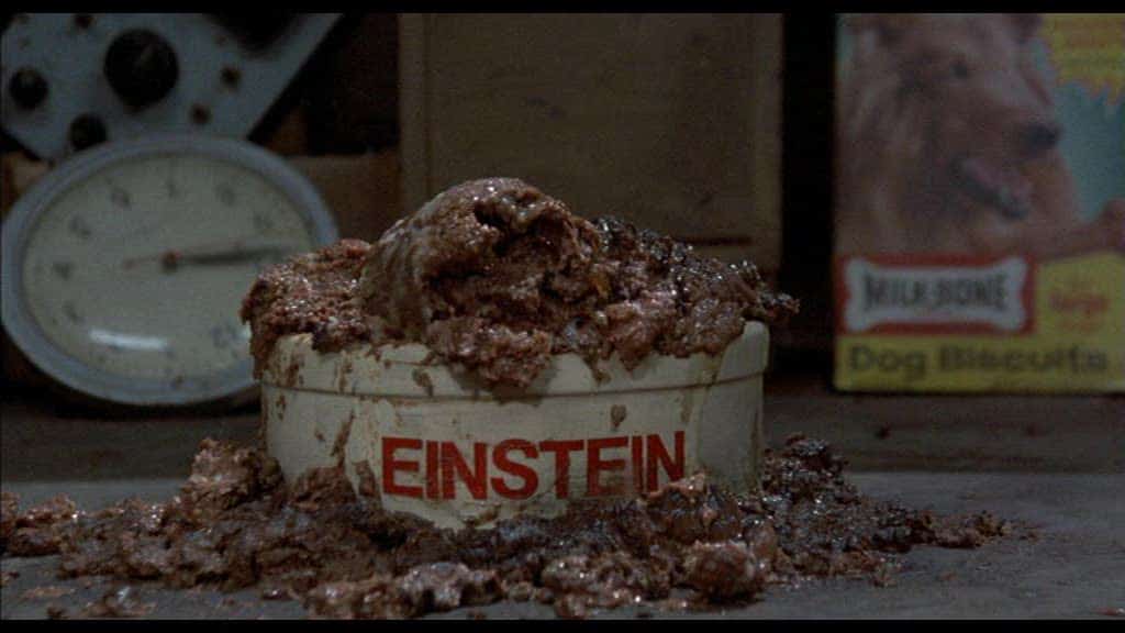 Back to the Future Einstein Bowl